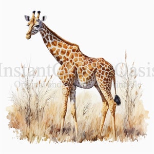 Clipart girafe, 9 JPG de haute qualité, téléchargement numérique, fabrication de cartes, Clipart Animal, artisanat en papier numérique | #252