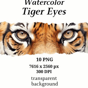 Clipart de olhos de tigre - 10 PNGs de alta qualidade, criação de cartões, clip art, impressão de tigre, gráficos para impressão, scrapbooking, artesanato em papel digital | #1224