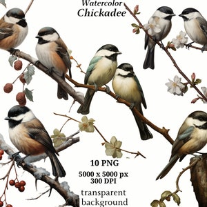 Clipart mésange | Série-2 | 10 PNG de haute qualité, téléchargement numérique, fabrication de cartes, Clipart oiseau mignon, créations numériques en papier, scrapbooking #1360