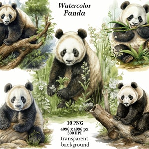 Clipart panda, 10 images PNG de haute qualité, téléchargement numérique, fabrication de cartes, impression panda, graphiques imprimables, créations numériques sur papier | #1371
