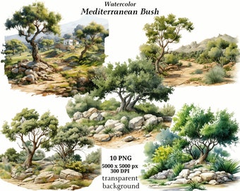 Mediterrane Bush ClipArt - 10 PNG's van hoge kwaliteit, aquarelkunst, digitale download, kaart maken, gemengde media, digitale papierkunst | #1345