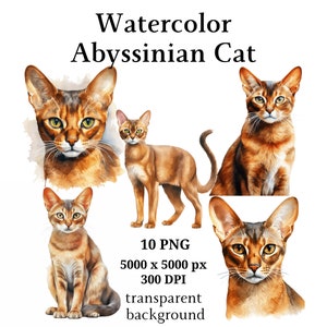 Abessinier Katze Clipart, 10 hochwertige PNGs, Kinderzimmer Kunst, digitaler Download | Kartenherstellung, niedliche Katze Clipart, Digital Paper Craft | #1033