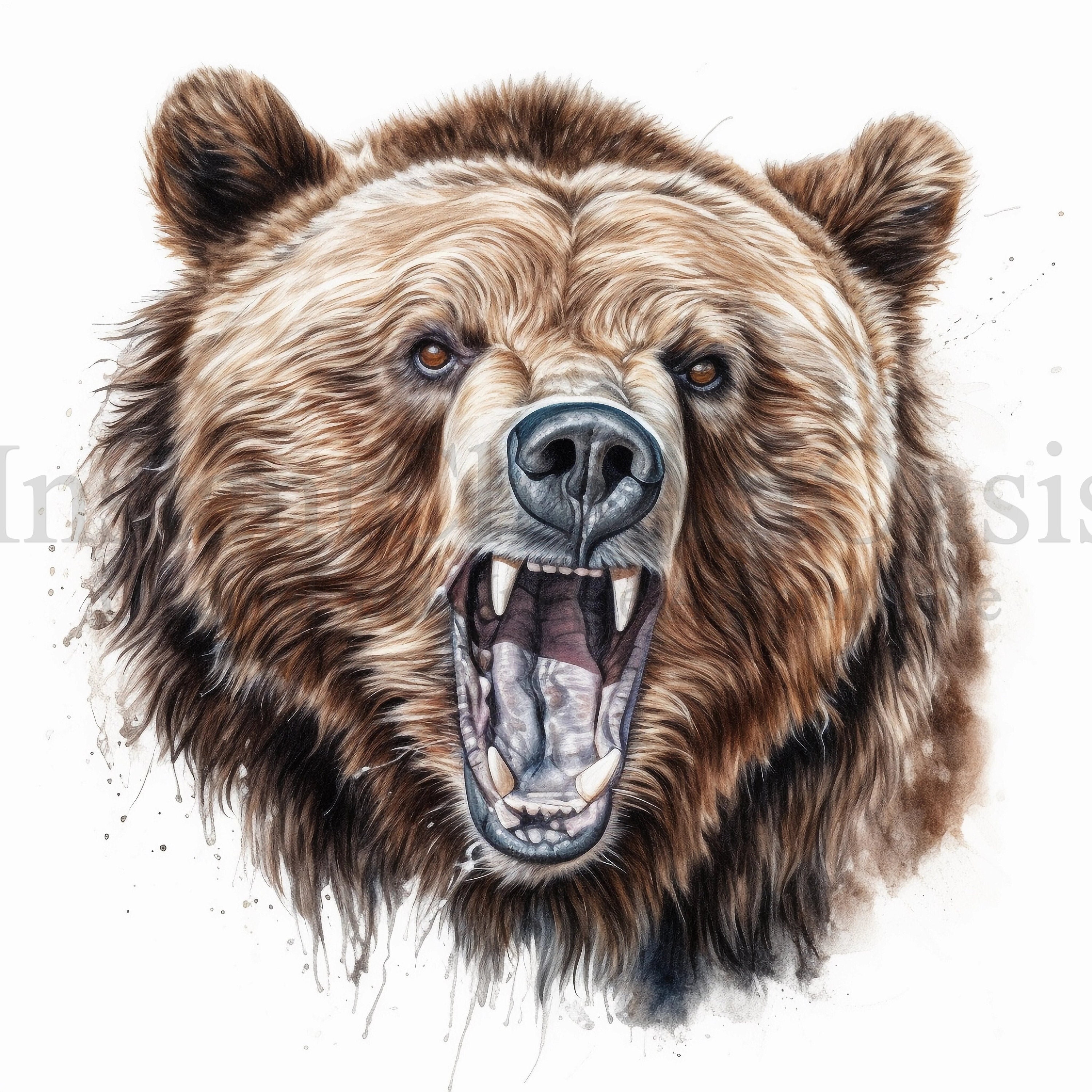 Roaring Bear Clipart, 10 High Quality Jpgs, Instant Digital Download Card  Making, Bear Clipart, Digital Paper Craft 566 - Etsy