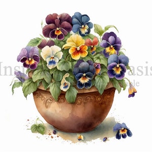 Könnte beinhalten: Ein Terrakotta-Topf, der überquillt mit einer Vielzahl von bunten Stiefmütterchen, darunter violette, blaue, gelbe und weiße. Die Stiefmütterchen sind in einem üppigen, grünen Laub angeordnet.