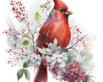 Red Cardinal Clipart, 10 High Quality PNGs, Nursery Art, Digital Download | Card Making, Cute Bird Clipart, Digital Paper Craft | #312