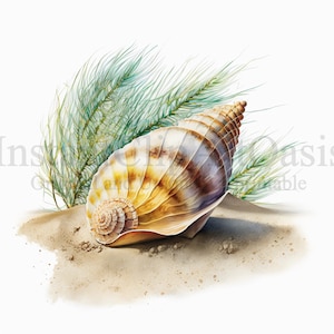 May include: A large, brown and yellow seashell with a spiral pattern lies on a bed of sand. Green leafy branches are behind the shell.