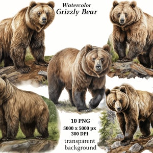 Grizzly Bear Clipart, 10 High Quality PNGs, Digital Download, Card Making, Bear Print, Printable Graphics, Digital Paper Craft | #1333