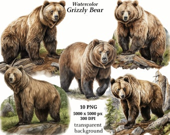Grizzly Bear Clipart, 10 High Quality PNGs, Digital Download, Card Making, Bear Print, Printable Graphics, Digital Paper Craft | #1333