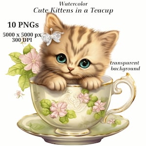 Gattini carini in una tazza da tè Clipart, 10 PNG di alta qualità, Arte della scuola materna, Download digitale, Creazione di cartoline, Clipart di gatti, Mestiere di carta digitale #1401