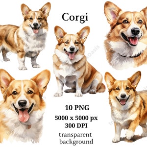 Imágenes Prediseñadas de Corgi, 10 PNG de alta calidad, vivero, planificador digital, perro de acuarela, fabricación de tarjetas, diario, descarga digital #932