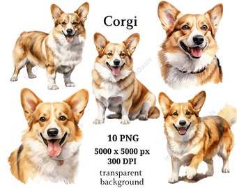 Corgis Clipart, 10 hochwertige PNGs, Kindergarten, digitaler Planer, Aquarell Hund, Kartenherstellung, Journaling, digitaler Download #932