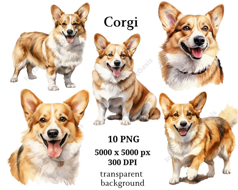 Corgi Clipart, 10 High Quality PNGs, Nursery, Digital Planner, Watercolor Dog, Card Making, Journaling, Digital Download 932 画像 1