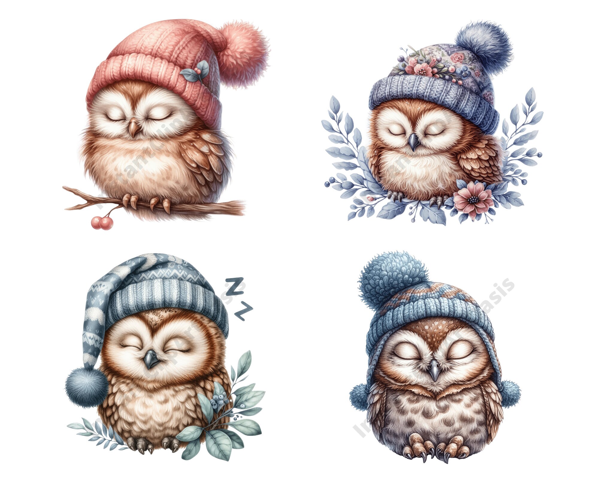 Eule schlafen Clipart, 11 hochwertige PNGs, Kinderzimmer Kunst, digitaler  Download, Kartenherstellung, niedliche Tier Clipart, Eule Clipart | #1468 -  Etsy Schweiz, image size:2000x1600