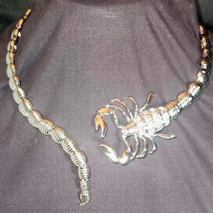 May include: Silver scorpion necklace with a segmented tail and a detailed scorpion body. The necklace wraps around the neck, with the scorpion body as a pendant. The jewellery is displayed on a dark background.