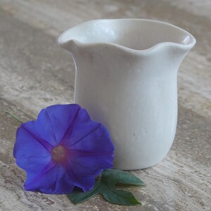 May include: A white ceramic pitcher with a scalloped rim and a light blue morning glory flower.