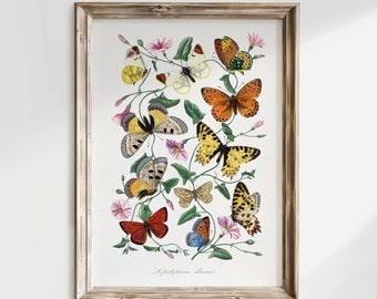 Butterfly Art Print, Botanical Printable Wall Art, Butterfly Wall Decor, Moth Print, Vintage Wall Art, Digital Print, Digital Download, V01