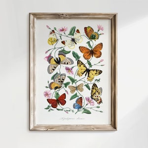 Butterfly Art Print, Botanical Printable Wall Art, Butterfly Wall Decor, Moth Print, Vintage Wall Art, Digital Print, Digital Download, V01