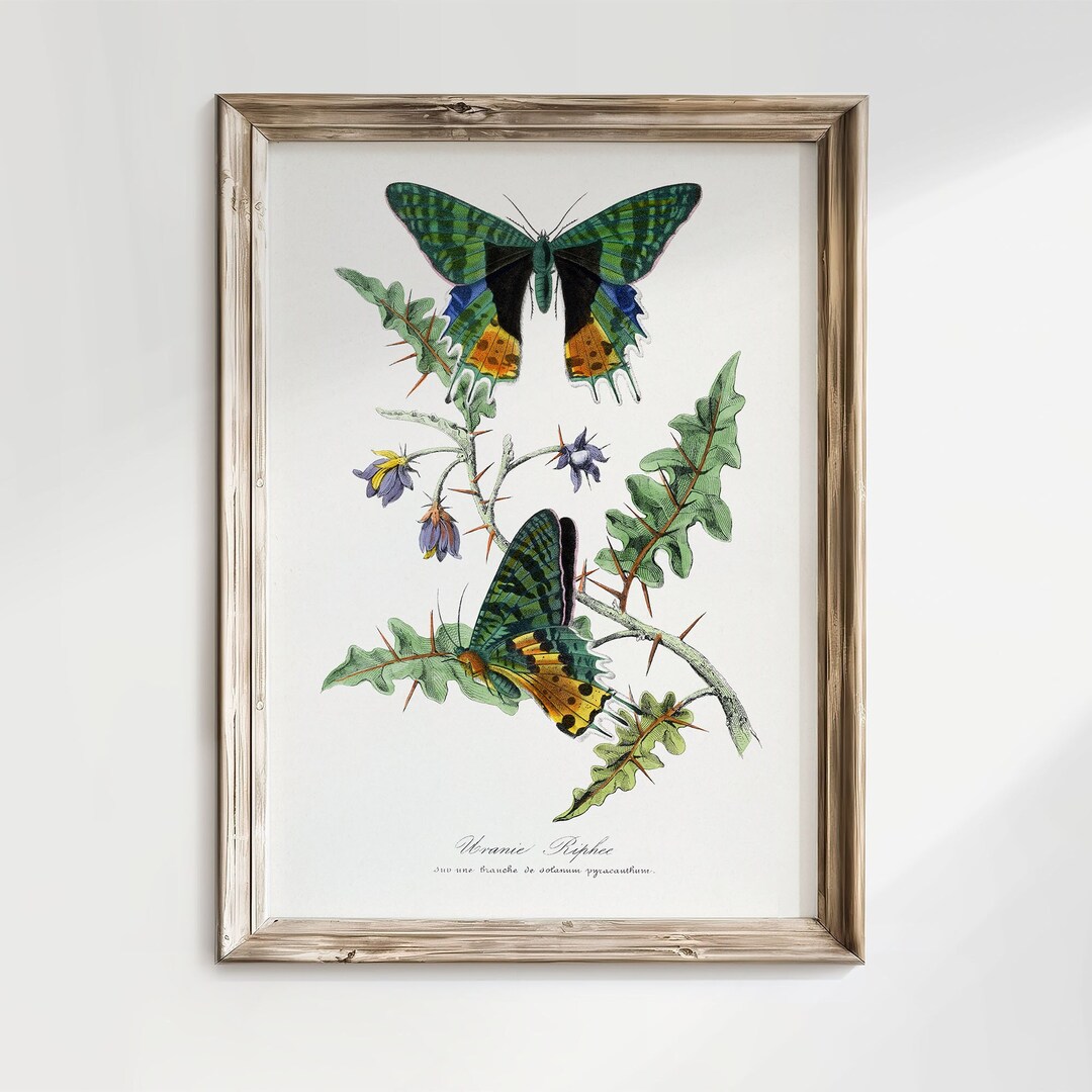 Vintage Butterfly Print Botanical Painting, Daughter Gift Idea, Girl ...