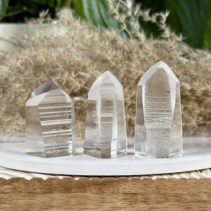 May include: Three clear quartz crystal points of varying sizes are displayed on a white plate. The crystals have a faceted design and are arranged in a row. The background includes dried grasses and green foliage, creating a natural aesthetic.