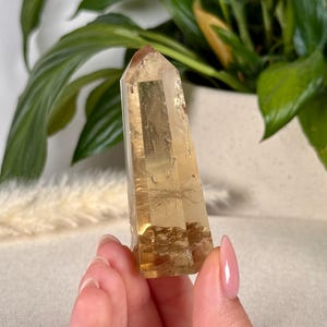 May include: A golden-yellow crystal point with a faceted shape. The crystal is held in a hand with manicured nails. Green leafy plants are in the background.