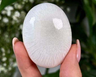 May include: A white, oval-shaped stone with a textured, radiating pattern. The stone is held between two fingers, with a blurred background of green leaves and white flowers.