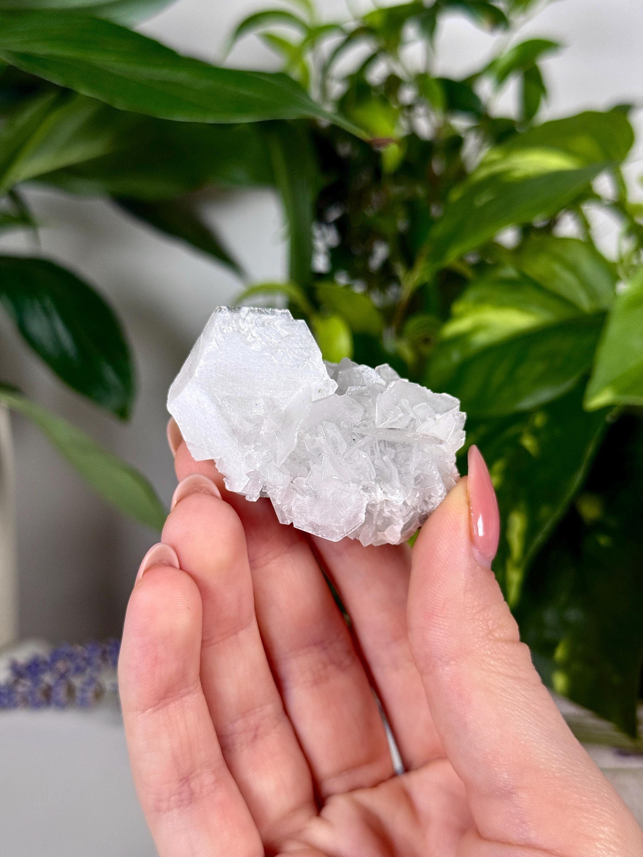 Natural Paper Calcite Specimen, White Rose Paper Calcite Raw, 41.18g ...