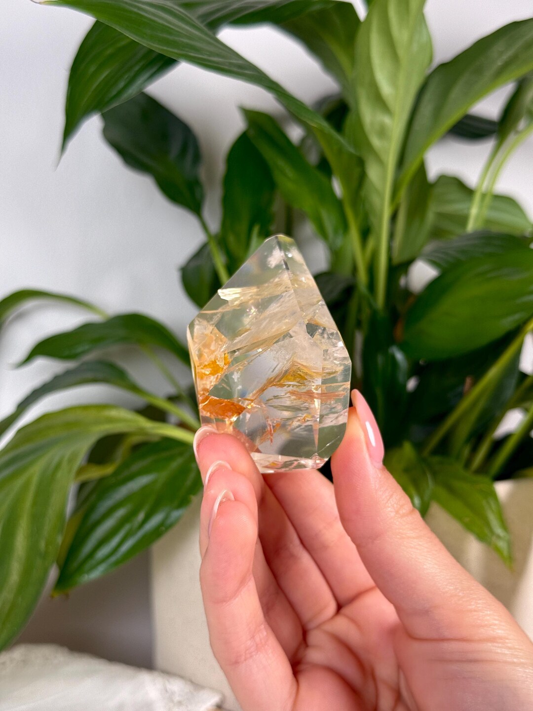 ゴールデンヒーラーフリーフォーム、スタンド付き、ブラジル・ミナス