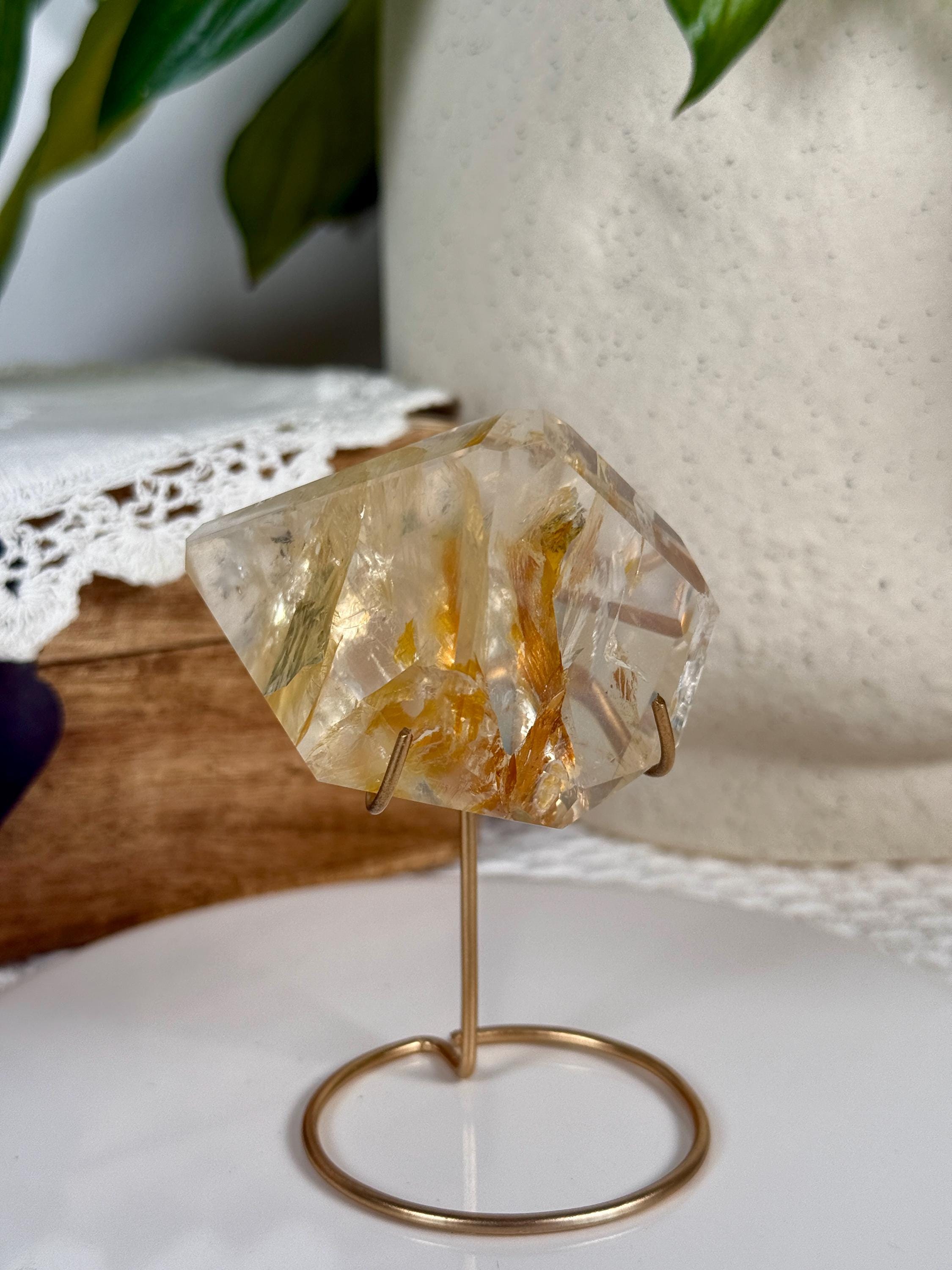 ブラジル ミナスジェライス州産 成長干渉ゴールデンヒーラー ブラジル ミナスジェライス州産 成長干渉ゴールデンヒーラー