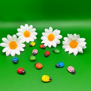 May include: A collection of colorful ladybugs scattered around white daisies on a green background.
