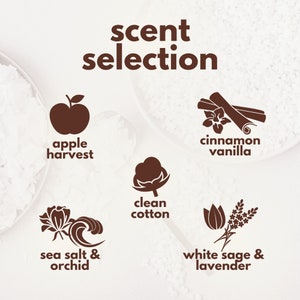 Op de afbeelding: Afbeelding met een geurselectie met illustraties van appeloogst, kaneel-vanille, schone katoen, zeezout & orchidee en witte salie & lavendel. De tekst "scent selection" staat bovenaan.