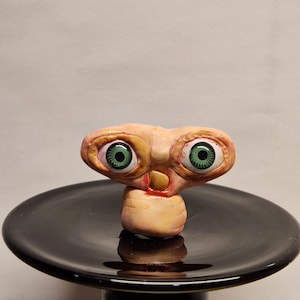 Fleshie Crussel