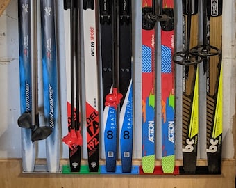 Cross Country Ski Storage system