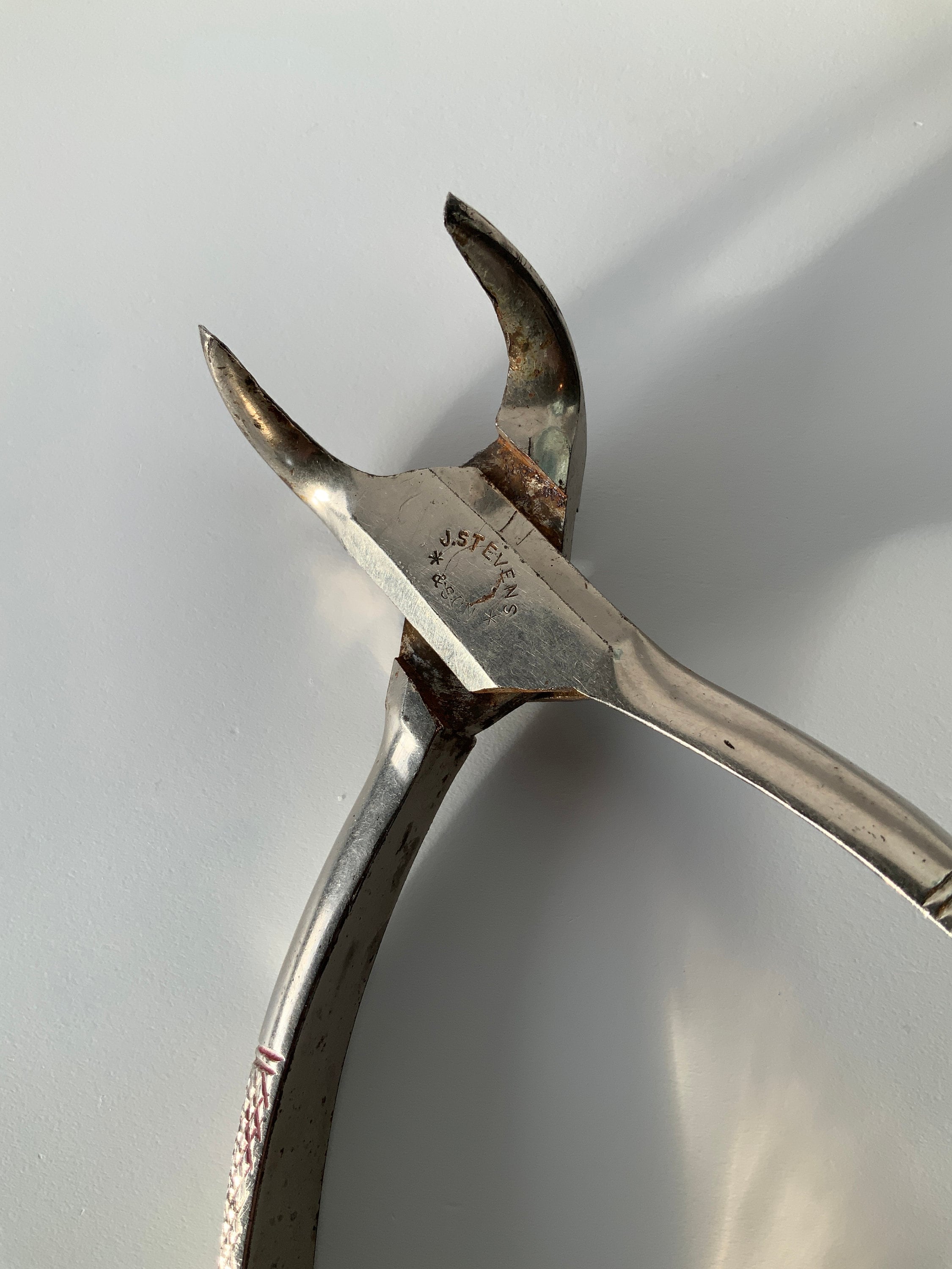 J. Stevens & Son Tooth Extractor. Veterinary Tool. Pullers. Surgical ...