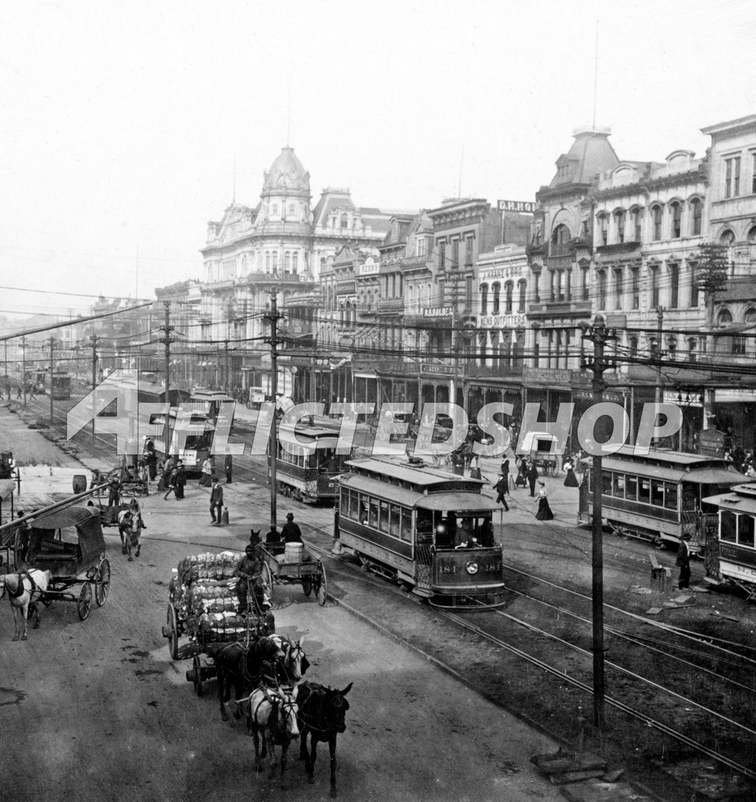 Digital Download New Orleans Canal Street Vintage Photo 1901 Etsy