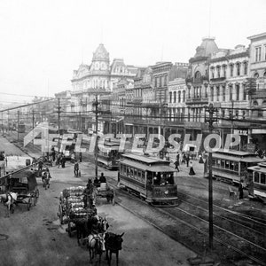 Digital Download New Orleans Canal Street Vintage Photo 1901