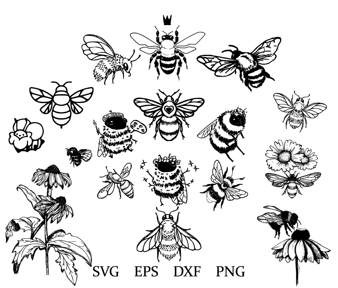 Bee Svg Sunflower and Bee Bee Clipart Etsy