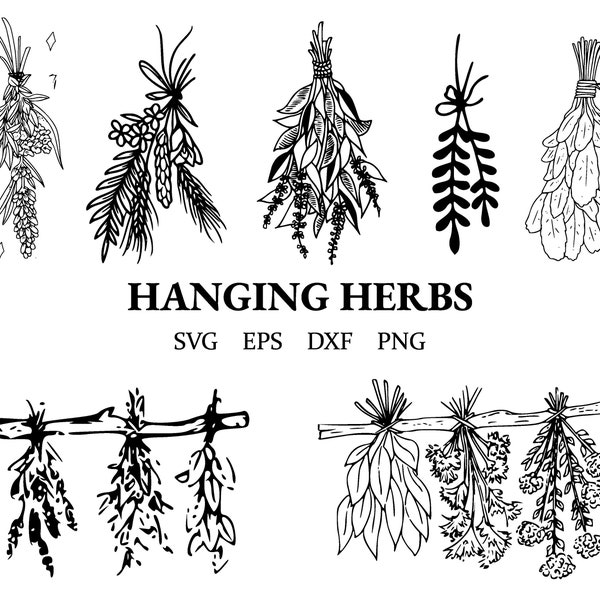 Hanging herbs svg | witchy herb bundles | herb clipart | dxf | eps | png