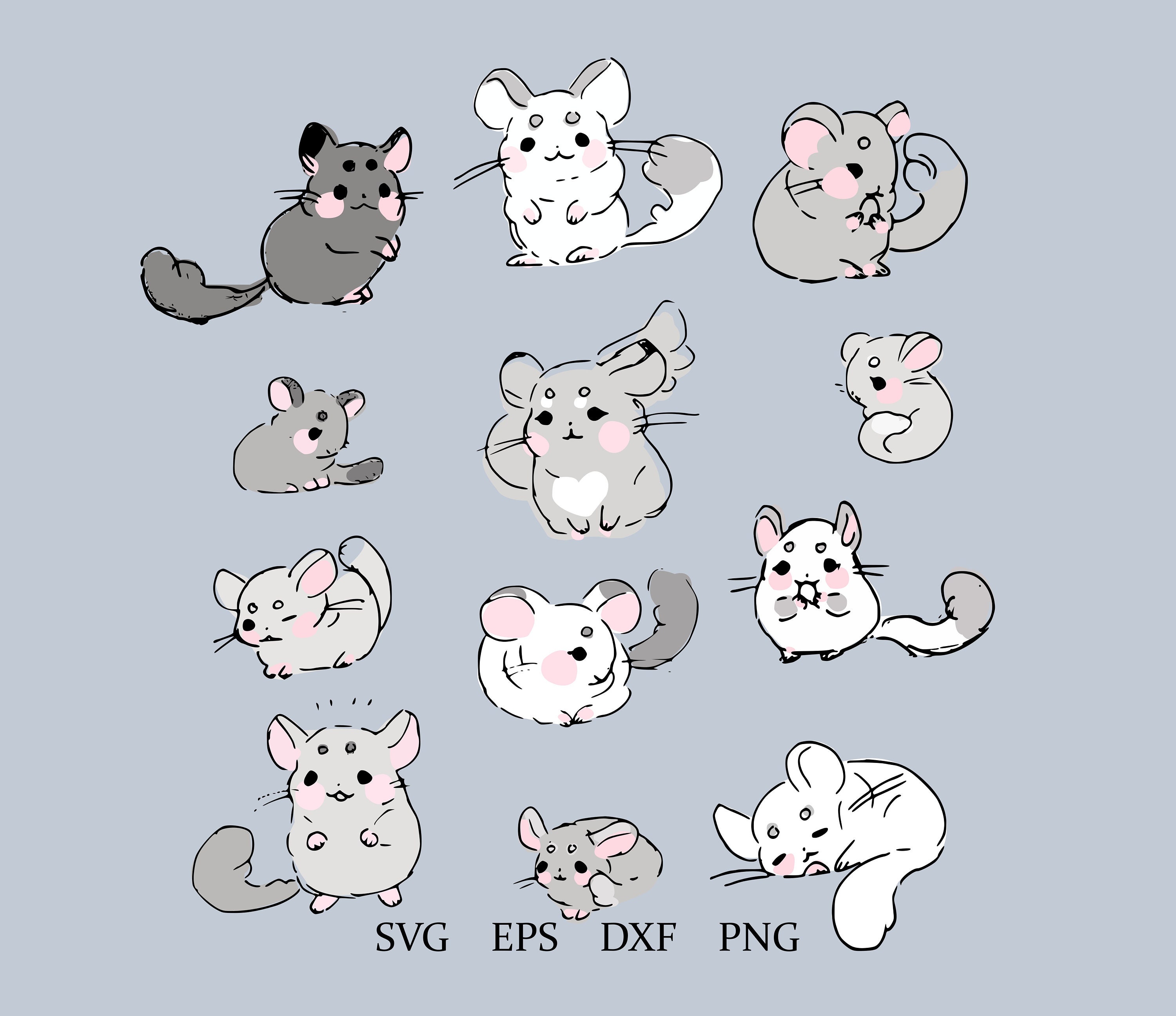 Chinchilla Svg Chinchilla Clipart Chinchilla Bundle Etsy