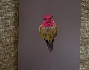 May include: A close-up of a hummingbird with a pink head and green and yellow feathers. The bird is facing the camera and has its wings tucked in.