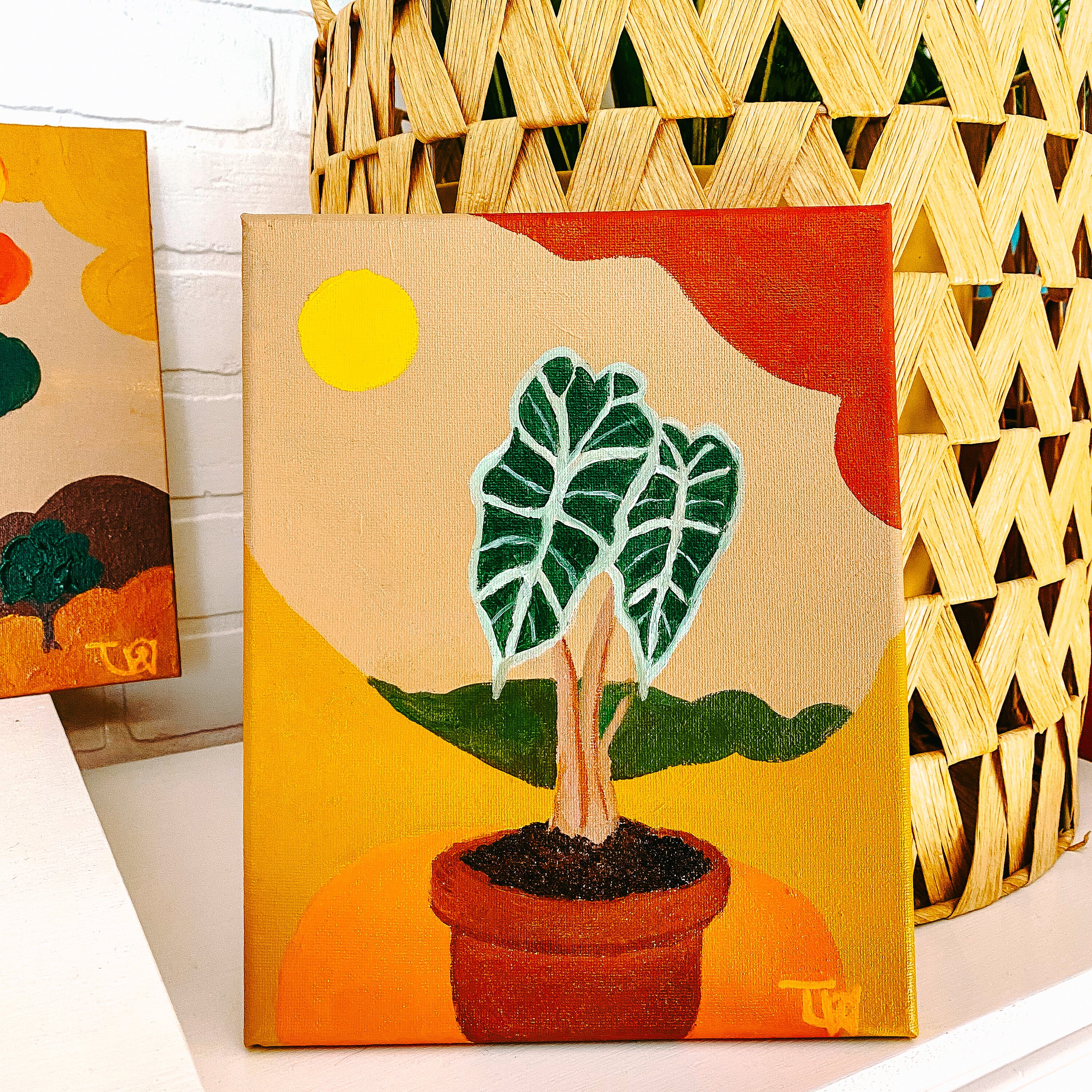 Alocasia sanderiana - Etsy 日本