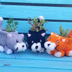 May include: Three knitted cat planter pots with succulents. The pots are gray, black, and orange.
