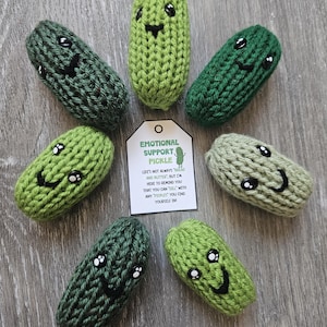 Padrão de máquina de tricô Mini-Pickle de suporte emocional com impressão *SOMENTE PDFs