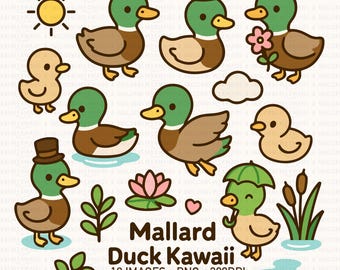 Mallard Duck Kawaii Clipart Set | Spring Animal PNG (Digital Download)