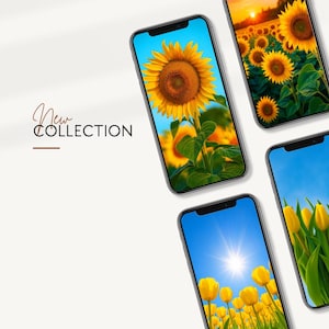 Sunflower & Tulip Phone Wallpaper | Bright Floral Backgrounds (Digital Download)
