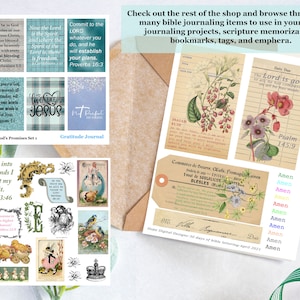 May include: A set of printable digital papers for bible journaling. The papers feature floral designs, scripture verses, and the words "Amen" and "The Lord is good".
