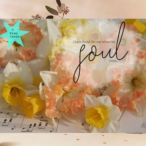 Scripture The One Who Loves My Soul. Digital Printable Card, Scripture Instant Download Card, PDF Scripture Card, 5x7 Scripture Card