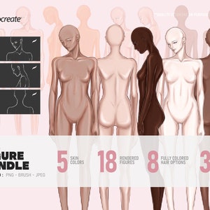 18 COLORED Female Figures -  5 different skin tones (front / side / back view) + hair bundle + Procreate figure stamps