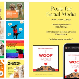 May include: A collection of 20 Instagram posts and 20 matching stories featuring adorable dogs and cats. The posts are designed for pet-related businesses and feature themes like pet sitting, summer promotions, and happy pride. The text on the images includes "Healthy Food for Your Puppies", "Pet Sitting", "Happy Pride", "Summer Promo", "Pet Shop & Veterinary", and "Happy National Dog Day".