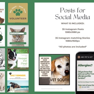 Peut inclure: Un collage d'images faisant la promotion d'une clinique v&eacute;t&eacute;rinaire. Les images pr&eacute;sentent des chiens, des chats et une empreinte de patte verte. Le texte sur les images comprend "Volunteer", "Summer Pet Picnic", "We know how important your pet is to you", "Vet South", "ABC Pet & Vet", "Allergies?", et "Daily Reminder".