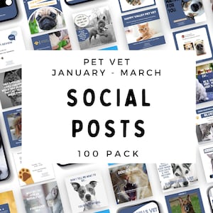 Instagram-mallar för husdjursveterinärer: Inlägg och berättelser på sociala medier (digital nedladdning)